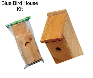 Blue Bird House Kit