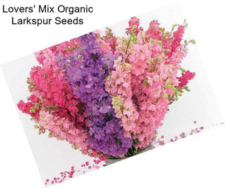 Lovers\' Mix Organic Larkspur Seeds