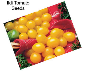 Ildi Tomato Seeds
