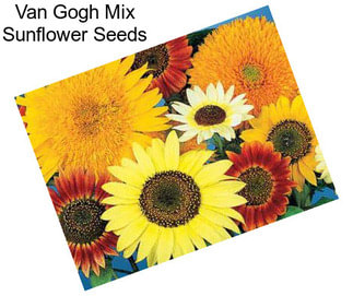 Van Gogh Mix Sunflower Seeds