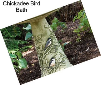 Chickadee Bird Bath