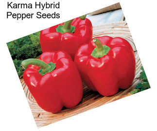 Karma Hybrid Pepper Seeds