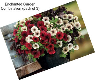 Enchanted Garden Combination (pack of 3)