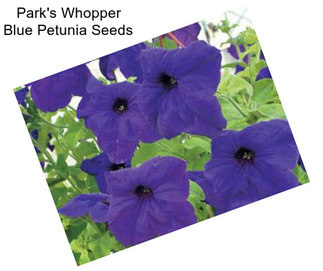 Park\'s Whopper Blue Petunia Seeds