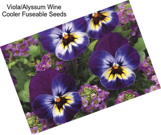Viola/Alyssum Wine Cooler Fuseable Seeds