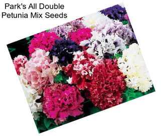 Park\'s All Double Petunia Mix Seeds