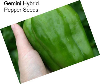 Gemini Hybrid Pepper Seeds