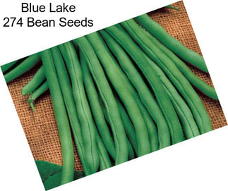 Blue Lake 274 Bean Seeds