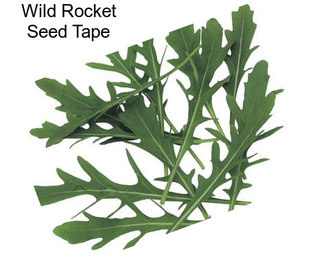 Wild Rocket Seed Tape