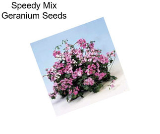 Speedy Mix Geranium Seeds