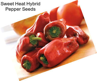 Sweet Heat Hybrid Pepper Seeds