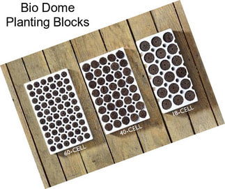 Bio Dome Planting Blocks