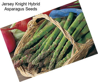 Jersey Knight Hybrid Asparagus Seeds