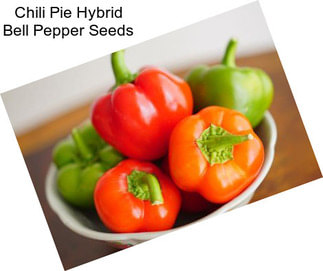 Chili Pie Hybrid Bell Pepper Seeds