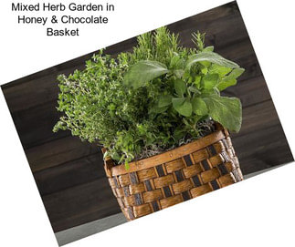 Mixed Herb Garden in Honey & Chocolate Basket