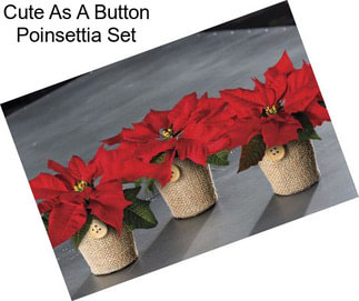 Cute As A Button Poinsettia Set