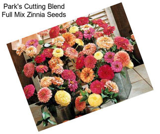 Park\'s Cutting Blend Full Mix Zinnia Seeds