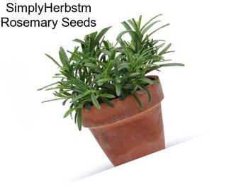SimplyHerbstm Rosemary Seeds