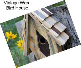 Vintage Wren Bird House