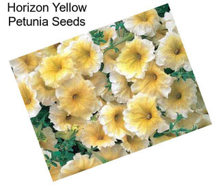 Horizon Yellow Petunia Seeds