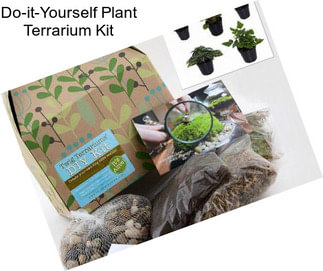 Do-it-Yourself Plant Terrarium Kit