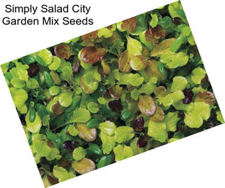 Simply Salad City Garden Mix Seeds