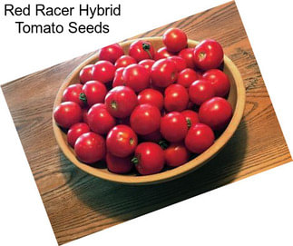 Red Racer Hybrid Tomato Seeds