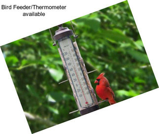 Bird Feeder/Thermometer available