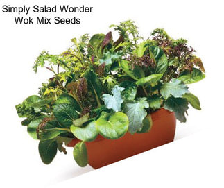 Simply Salad Wonder Wok Mix Seeds