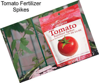 Tomato Fertilizer Spikes