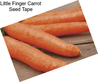 Little Finger Carrot Seed Tape