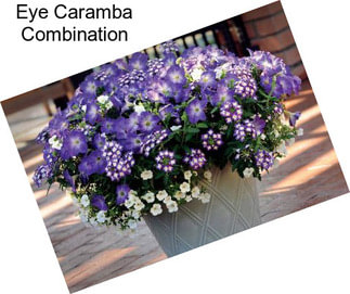 Eye Caramba Combination