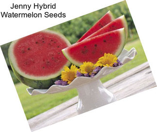 Jenny Hybrid Watermelon Seeds