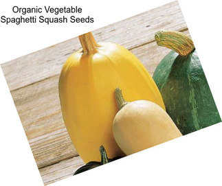 Organic Vegetable Spaghetti Squash Seeds