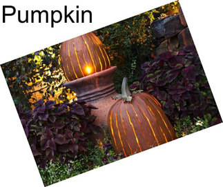 Pumpkin