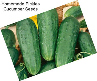 Homemade Pickles Cucumber Seeds