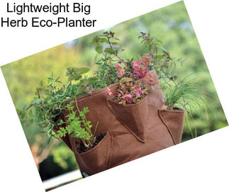 Lightweight Big Herb Eco-Planter