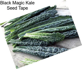 Black Magic Kale Seed Tape