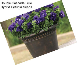 Double Cascade Blue Hybrid Petunia Seeds