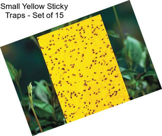 Small Yellow Sticky Traps - Set of 15