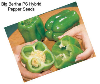 Big Bertha PS Hybrid Pepper Seeds