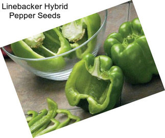 Linebacker Hybrid Pepper Seeds