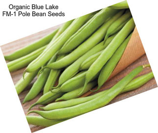 Organic Blue Lake FM-1 Pole Bean Seeds