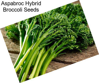 Aspabroc Hybrid Broccoli Seeds