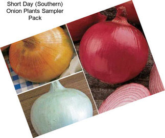 Short Day (Southern) Onion Plants Sampler Pack