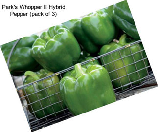 Park\'s Whopper II Hybrid Pepper (pack of 3)