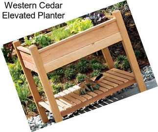 Western Cedar Elevated Planter