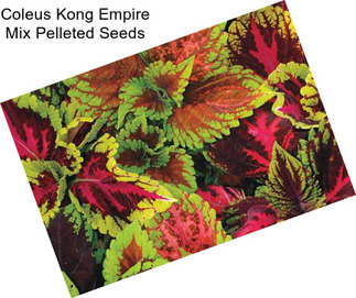 Coleus Kong Empire Mix Pelleted Seeds