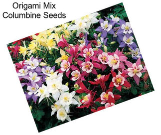 Origami Mix Columbine Seeds