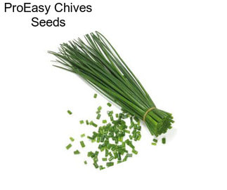 ProEasy Chives Seeds